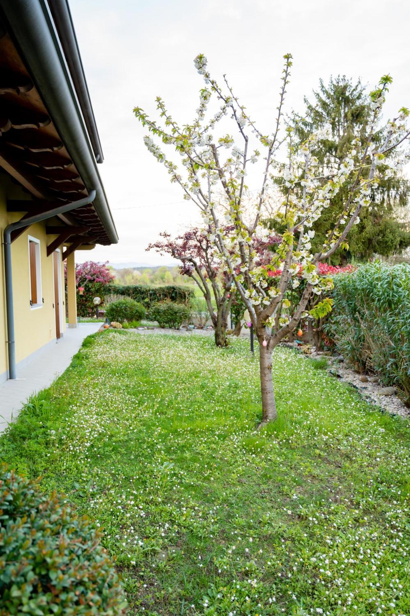 Residence Stradella Verde Staranzano المظهر الخارجي الصورة